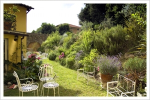 Garden behind the villa