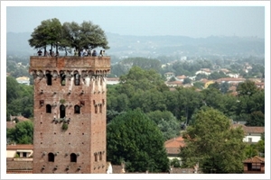 LUCCA - Torre Guinigi